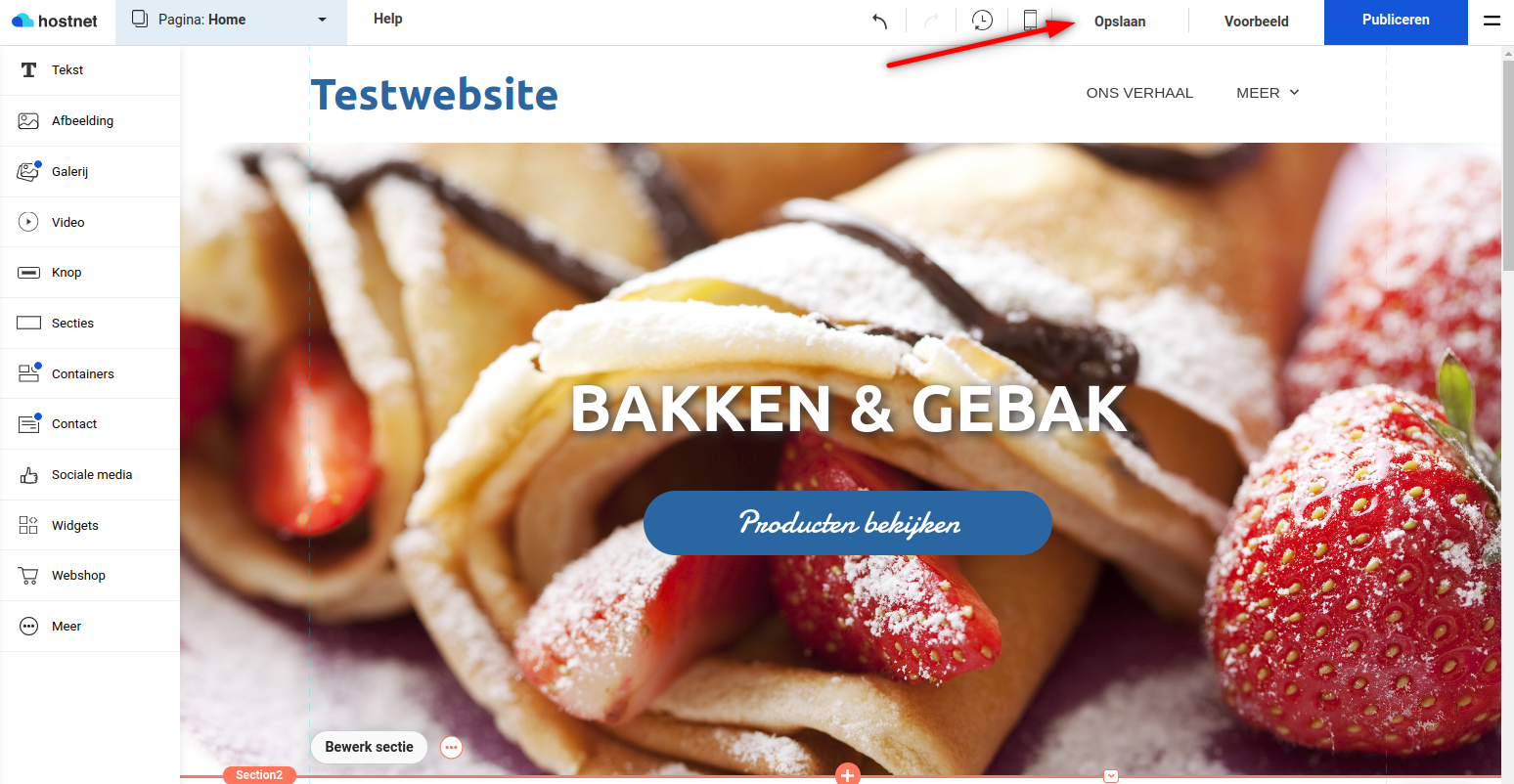 Website opslaan en publiceren.png